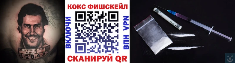 Купить закладки  Змеиногорск  COCAIN Fish Scale 