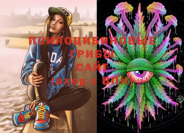 mdma Каменка