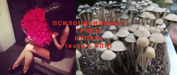 гашишное масло Каменногорск