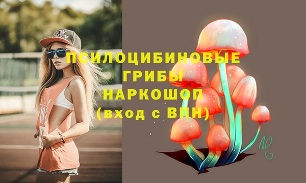 гашишное масло Каменногорск